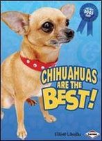 Chihuahuas Are The Best! (Best Dogs Ever)