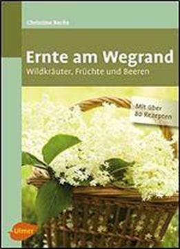 Ernte Am Wegrand: Wildkruter, Frchte Und Beeren