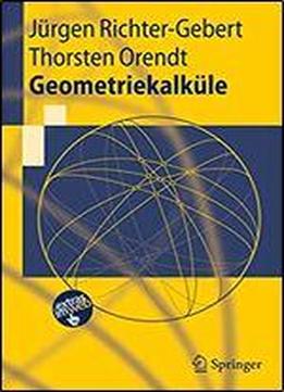 Geometriekalkule (springer-lehrbuch)