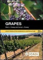 Grapes, 2nd Edition