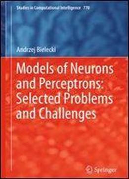 Models Of Neurons And Perceptrons: Selected Problems And Challenges