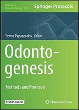 Odontogenesis: Methods And Protocols