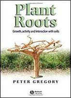 Plant Roots: Growth, Activity And Interactions With The Soil