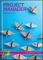 Project Manager: Careers In It Project Management