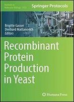 Recombinant Protein Production In Yeast