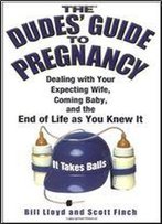 The Dudes' Guide To Pregnancy: Dealing With Your Expecting Wife, Coming Baby, And The End Of Life As You Knew It