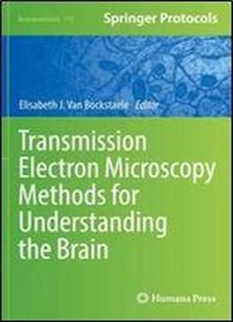 Transmission Electron Microscopy Methods For Understanding The Brain