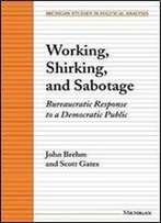 Working, Shirking, And Sabotage: Bureaucratic Response To A Democratic Public