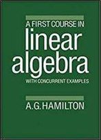 A First Course In Linear Algebra: With Concurrent Examples