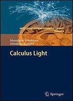Calculus Light (Intelligent Systems Reference Library)