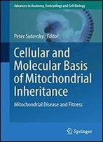 Cellular And Molecular Basis Of Mitochondrial Inheritance: Mitochondrial Disease And Fitness