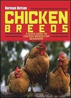 Chicken Breeds: A Quick Guide On Chicken Breeds For Beginners