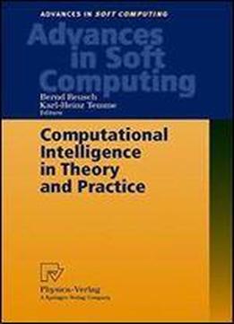Computational Intelligence In Theory And Practice
