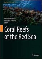 Coral Reefs Of The Red Sea