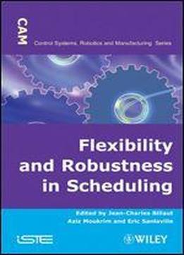 Flexibility And Robustness In Scheduling