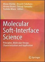 Molecular Soft-Interface Science: Principles, Molecular Design, Characterization And Application