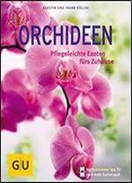 Orchideen: Pflegeleichte Exoten Frs Zuhause
