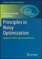 Principles In Noisy Optimization: Applied To Multi-Agent Coordination