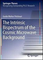 The Intrinsic Bispectrum Of The Cosmic Microwave Background (Springer Theses)