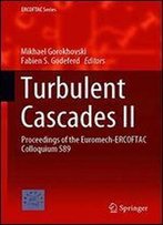 Turbulent Cascades Ii: Proceedings Of The Euromech-Ercoftac Colloquium 589