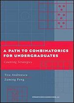 A Path To Combinatorics For Undergraduates: Counting Strategies