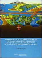 Approaches For Ecosystem Services Valuation For The Gulf Of Mexico After The Deepwater Horizon Oil Spill: Interim Report