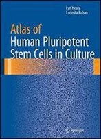 Atlas Of Human Pluripotent Stem Cells In Culture