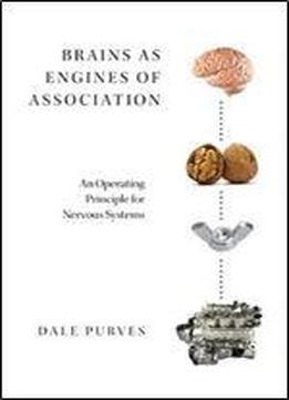 Brains As Engines Of Association: An Operating Principle For Nervous Systems