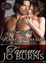 Enticing The Weary Warrior (The Rogue Agents Trilogy Book 3)