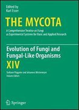 Evolution Of Fungi And Fungal-like Organisms (the Mycota)