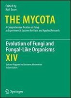 Evolution Of Fungi And Fungal-Like Organisms (The Mycota)