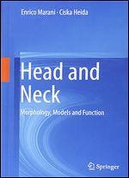 Head And Neck: Morphology, Models And Function