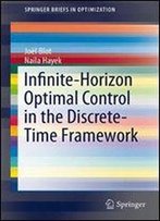 Infinite-Horizon Optimal Control In The Discrete-Time Framework (Springerbriefs In Optimization)