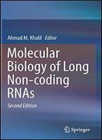 Molecular Biology Of Long Non-Coding Rnas