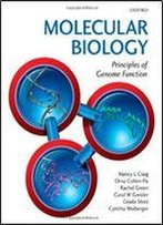 Molecular Biology: Principles Of Genome Function