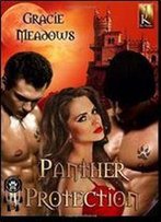 Panther Protection: The Hidden Pack 3 (Volume 3)