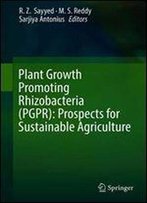 Plant Growth Promoting Rhizobacteria (Pgpr): Prospects For Sustainable Agriculture