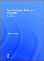 Social Groups In Action And Interaction: 2nd Edition
