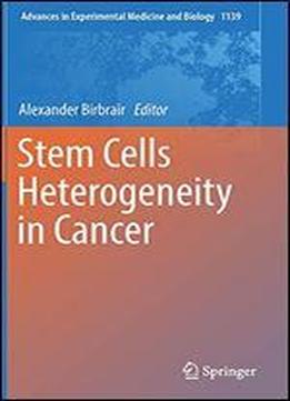 Stem Cells Heterogeneity In Cancer