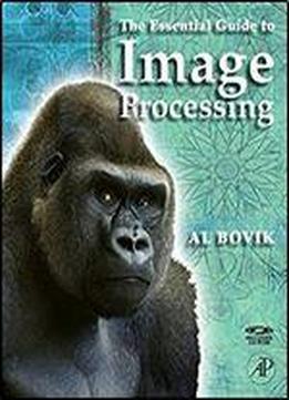 The Essential Guide To Image Processing