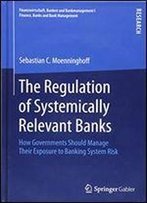 The Regulation Of Systemically Relevant Banks: How Governments Should Manage Their Exposure To Banking System Risk