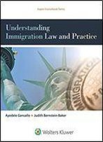 Understanding Immigration Law And Practice