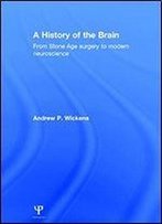 A History Of The Brain: From Stone Age Surgery To Modern Neuroscience