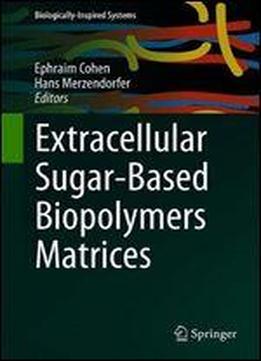 Extracellular Sugar-based Biopolymers Matrices