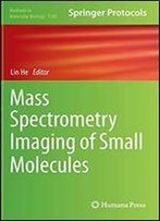 Mass Spectrometry Imaging Of Small Molecules