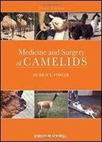 Medicine And Surgery Of Camelids