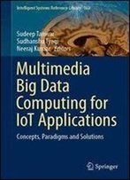 Multimedia Big Data Computing For Iot Applications: Concepts, Paradigms And Solutions (Intelligent Systems Reference Library)