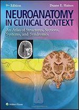 Neuroanatomy In Clinical Context: An Atlas Of Structures, Sections, Systems, And Syndromes