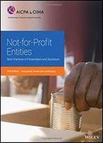 Not-For-Profit Entities: Best Practices In Presentation And Disclosure