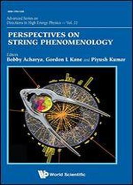 Perspectives On String Phenomenology (advanced Directions In High Energy Physics)